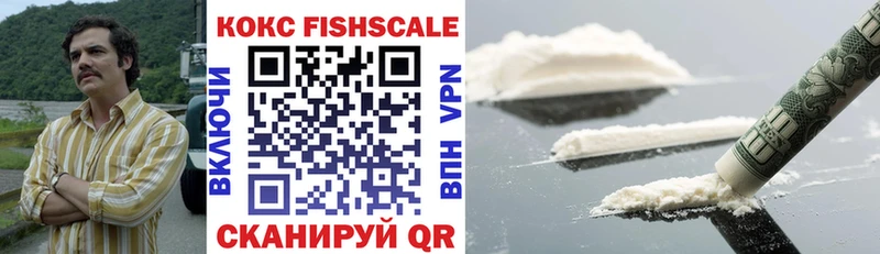Купить где  Минусинск  COCAIN Fish Scale 