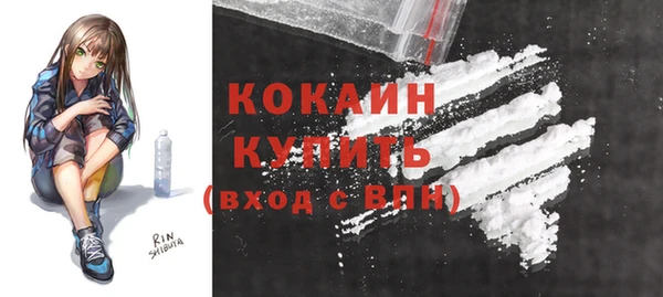 индика Беломорск
