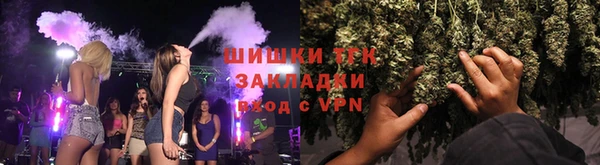 индика Беломорск