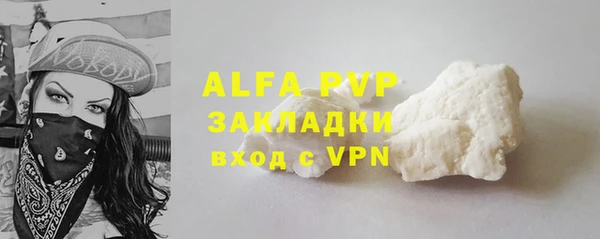индика Беломорск