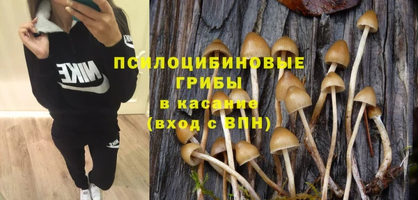 стаф Белоозёрский