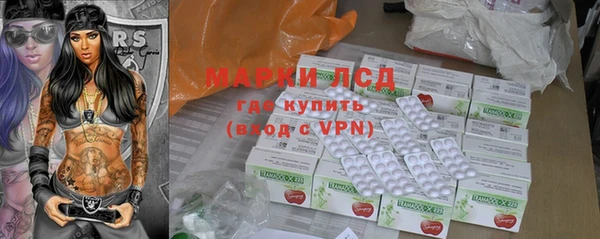 индика Беломорск