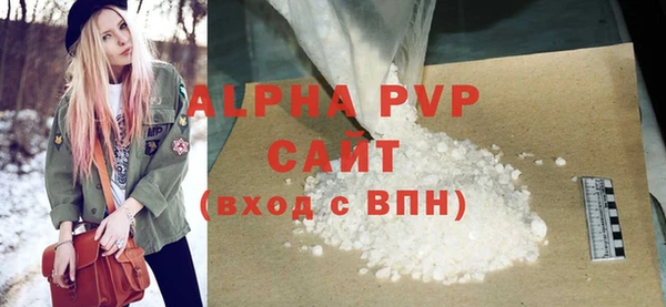 индика Беломорск