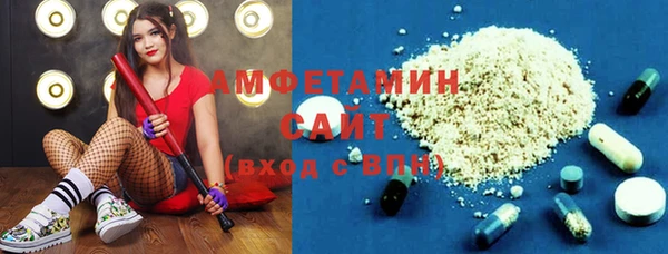 индика Беломорск